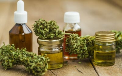 Cbd Blog The Cbd Startup: How To Develop Successful Cbd Products