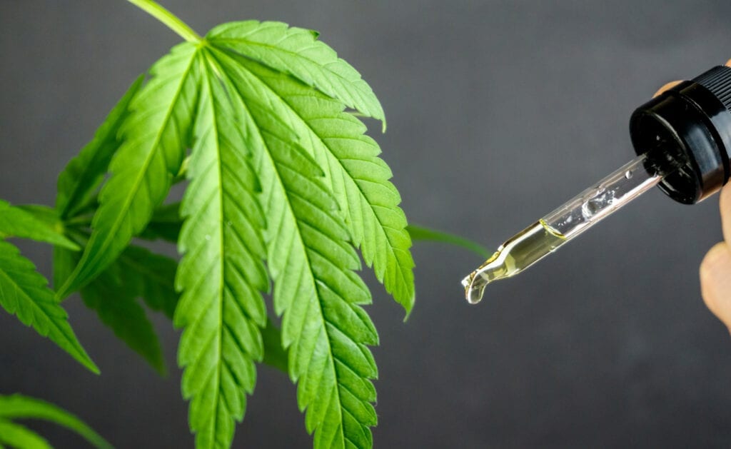 Cbd Isolate: Comprehensive Guide For Wholesale Buying Cbd Isolate