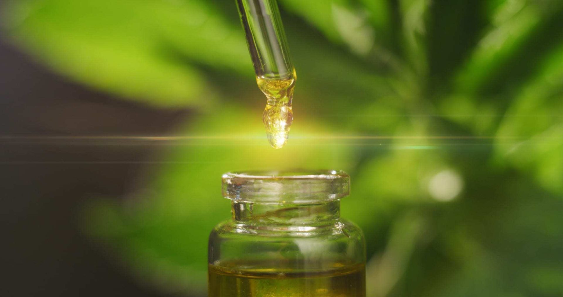 Macro close up of droplet dosing a biological and ecological hemp plant herbal pharmaceutical cbd oil from a jar. CBD oil seller guide for selling cbd oil online or in store