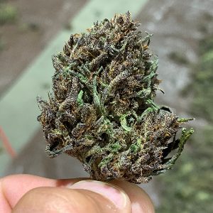 Private &Amp; White Labeling Private &Amp; White Labeling 1568310222 Buegeniushempflowerforsale 2