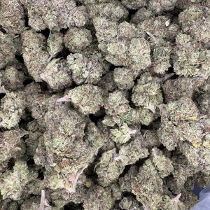 Cherry Biscotti Light Assist THCA Flower