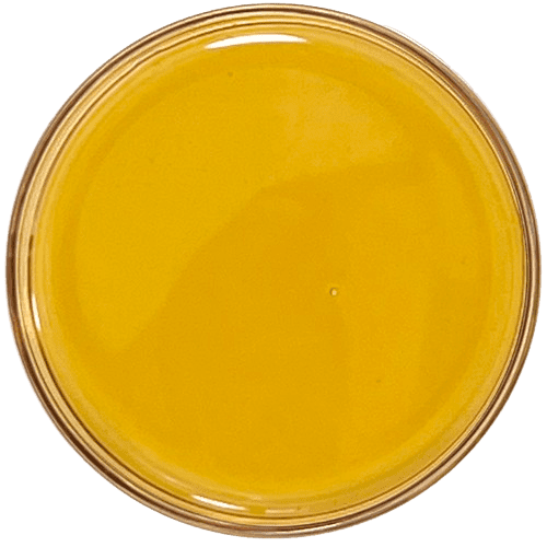 Cbc Isolate Cbc Isolate