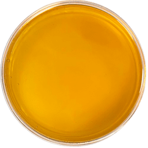Cbd Distillate