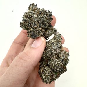 Fire as Fuck (FAF) Indoor THCA Flower