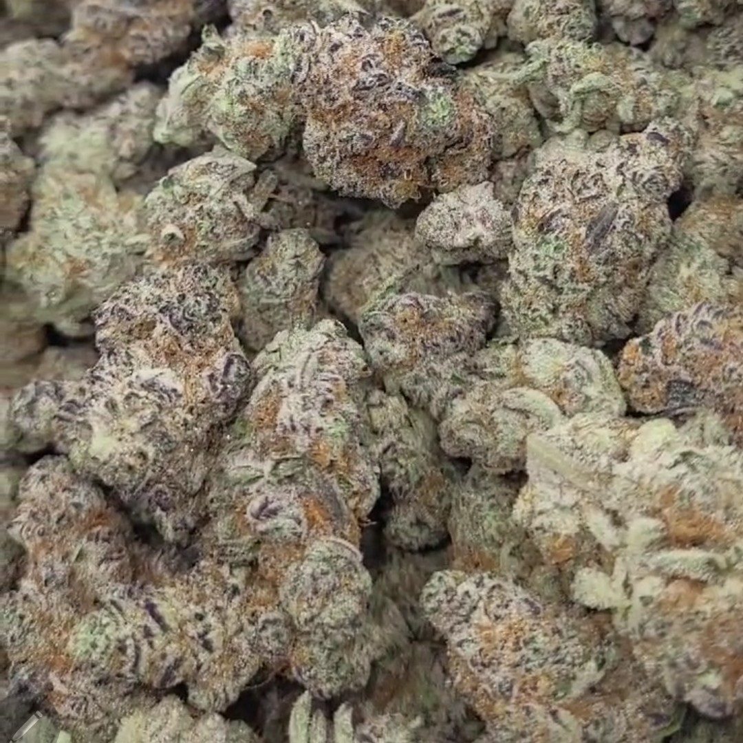 Garlic Cane Exotic Indoor Thca Flower Garlic Cane Exotic Indoor Thca Flower