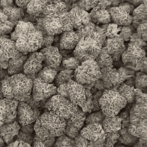 Black Ice Exotic THCA Flower