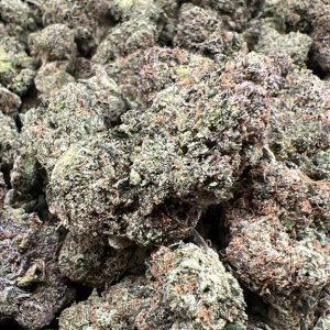 Chocolato Exotic THCA Flower