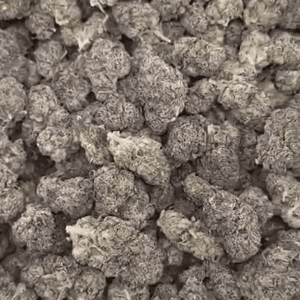 Jet Fuel Runts Exotic THCA Flower