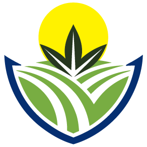 Bulk CBD Wholesale Distributors