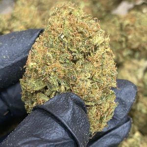 Bulk Sour Lifter CBD Flower