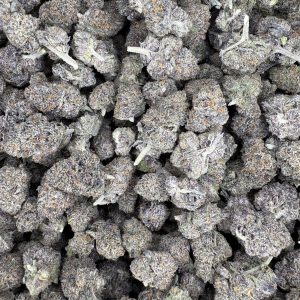 Black Runtz Indoor THCA Flower