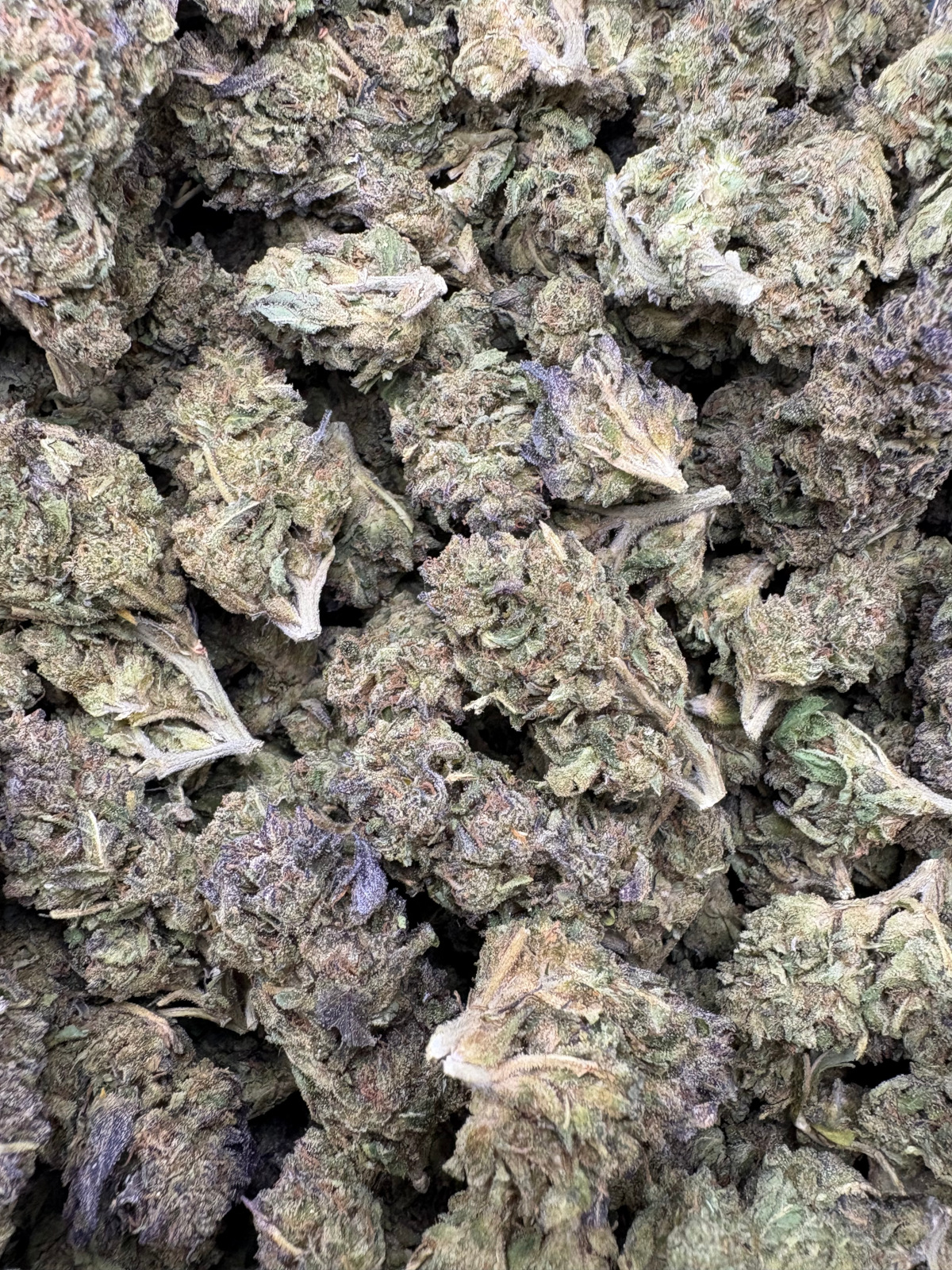 Sherb Cream Pie Light Assist Thca Flower Bulk Sherb Cream Pie Light Assist Thca Flower