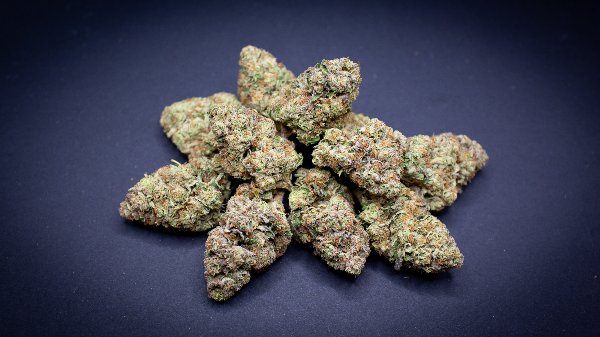 Slurty Light Assist Thca Flower Bulk Slurty Light Assist Thca Flower