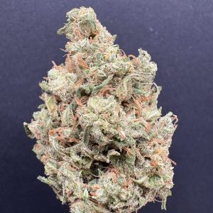 Durban Posion Indoor THCA Flower