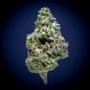 Jungle Sherb Light Assist THCA Flower