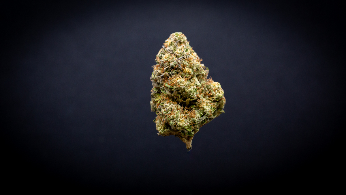 Slurty Light Assist Thca Flower Slurty Light Assist Thca Flower