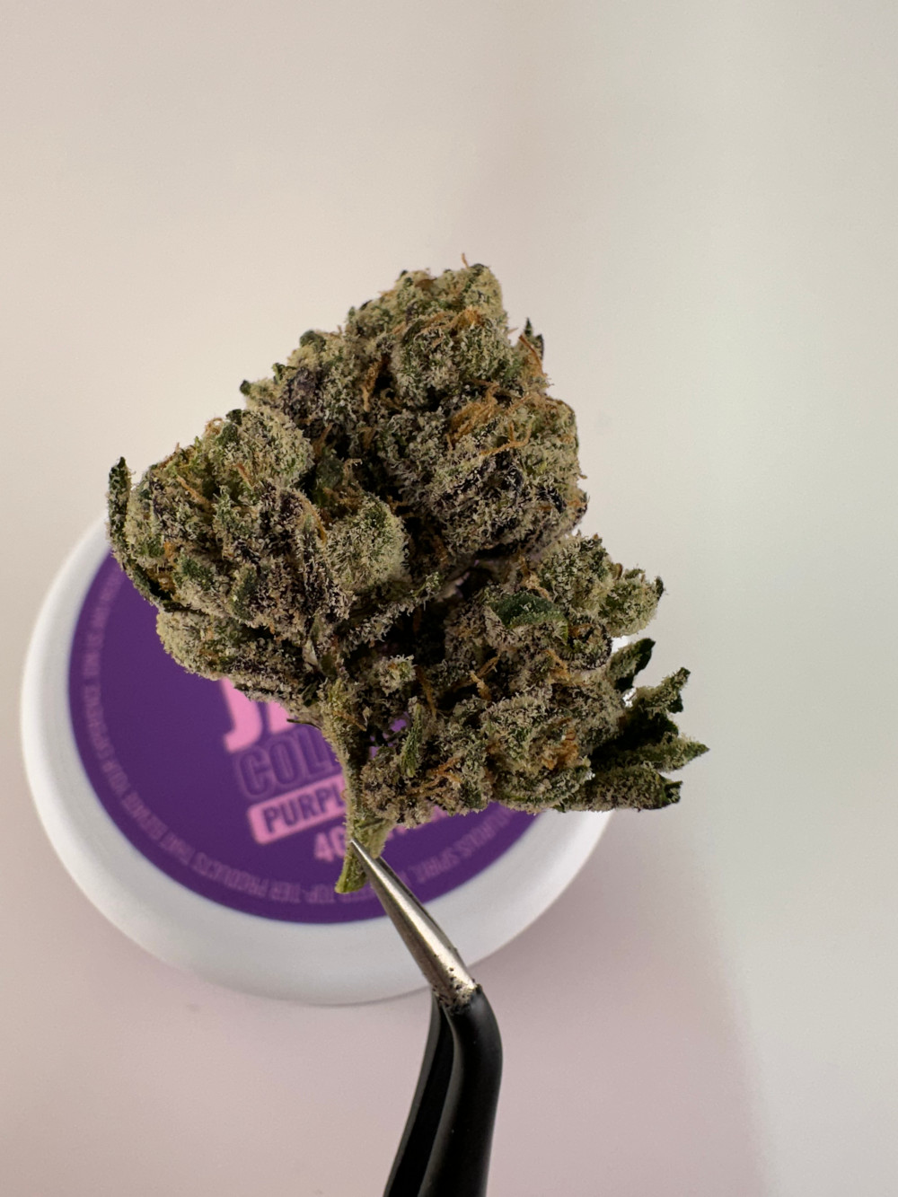 Lost Jane Purple Lemonade Exotic Thca Flower - Hybrid Lost Jane Purple Lemonade Exotic Thca Flower - 4G - Hybrid