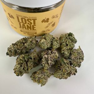 Lost Jane Vanilla Souffle Exotic Thca Flower - 4G - Indica